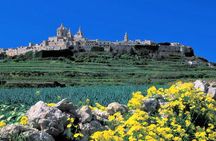 Private guided Malta shore excursion with a professional guide and transport