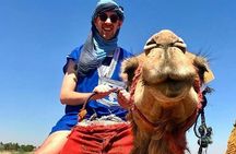 Atlas Mountains Day Trip with Camel Ride