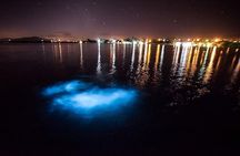 Jamaica Luminous Lagoon Private Tour with Transportation 