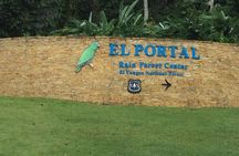 El Yunque Rainforest Hiking Tour from San Juan