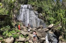 El Yunque Rainforest Hiking Tour from San Juan