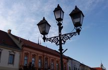 Private tour in Vác by local guide - Magical vibe of an charming baroque town
