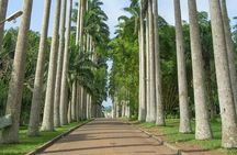 Escape Accra City to Aburi Gardens and Tetteh Quarshie Cocoa Farms