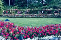 Private Deluxe Tour of Victoria & to Butchart Gardens (5 hrs)