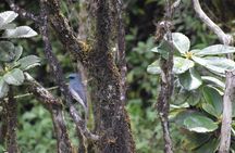 Horton Plains National Park Hike from Nuwara Eliya