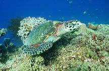 Bali Hai - PADI Advance Open Water Course in Menjangan