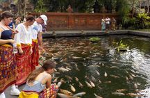 Half-Day Ubud Electric Cycling Tour to Tirta Empul Water Temple