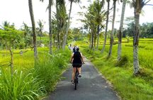 Half-Day Ubud Electric Cycling Tour to Tirta Empul Water Temple