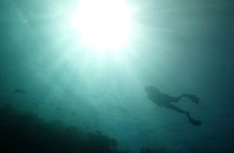 PADI Open Water Course in Menjangan