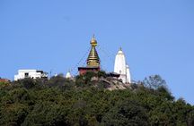 Swayambhunath and Patan Durbar Square Half Day Tour in Kathmandu