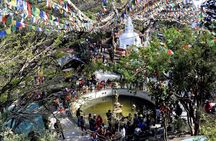 Swayambhunath and Patan Durbar Square Half Day Tour in Kathmandu