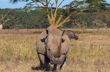4-Day Private Lodge Safari Tanzania