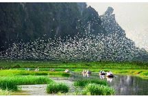 Ninh Binh – Van Long Wetland Reserve 2 Days 1 Night