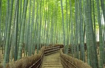 Kyoto Day Trip using Private Car with English Driver (up to 5)