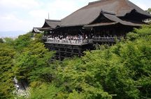 Kyoto Day Trip using Private Car with English Driver (up to 5)