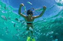 Catamaran Experience to Ile aux cerf: incl: Parasailing, Lunch, GRSE & Transfer
