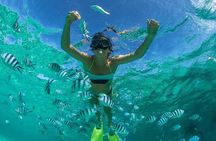 Full-Day At Ile Aux Cerf: Speed Boat, GRSE, Lunch On A Private Island & Transfer