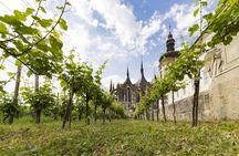 1 day UNESCO private wine experience in Kutna Hora