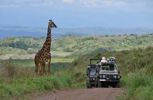 6 Days Tanzania Luxury Safari Tour 