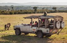 Cape town private - The Best of Big five safari 