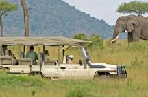 Cape Town Tour, Aquila Safari Game Reserve Overnight + Transport 