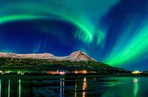 Northern Lights Night Tour from Reykjavik