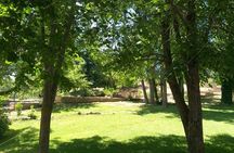Private day trip to middle atlas from fez