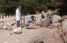 Private day trip to middle atlas from fez
