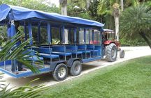 YS Falls and The Pelican Bar Adventure Tour from Negril