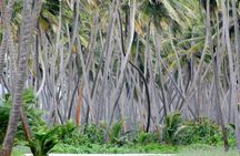 Trinidad Island Circle Tour with Pickup