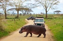 The Admirable Mikumi National Park - 2 Days