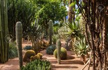 Enjoy Paradise valley trip with guide ®