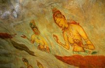 Sigiriya Rock & Dambulla Cave Temple Private Guided Day Trip