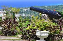 Ocho Rios Highlight Tour 