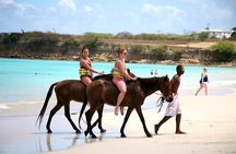 Horseback Riding, ATV & Blue Hole (Land & Sea) from Falmouth