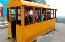 A Day in Rio de Janeiro: City Tour Complete
