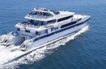 Catalina Island Trip with Zipline Eco Tour and Hotel Transfers