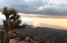 Joshua Tree National Park Scenic Tour