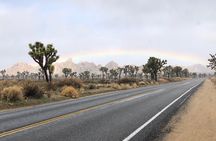 Joshua Tree National Park Scenic Tour