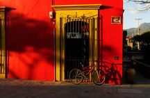 Street Art and Historic City Biking Tour