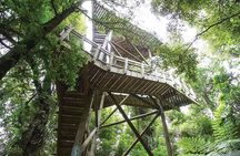 Sanctuary Mountain (Mt Maungatautari) & Hamilton Gardens Day trip from Auckland