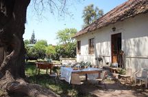 Private Wine Trekking Tour Including Chilean Country Grill