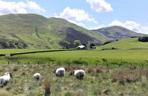 Hill & Nature Hike - Discover Real Edinburgh With a Local Expert