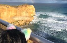 Private Great Ocean Road Local Experience