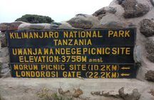 Mt. Kilimanjaro Day Hiking