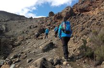 Mt. Kilimanjaro Day Hiking