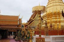 Private! Morning alms&Doi suthep&Wat Umong + Monjam & Hill tribe& Royal Project
