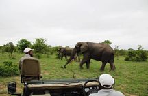 4 Day Greater Kruger National Park Adventure Safari