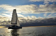 Fishing Trip with Luxury Catamaran in Tromso