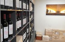 Ribera del Duero Underground Cellar & Wine Tasting Experience